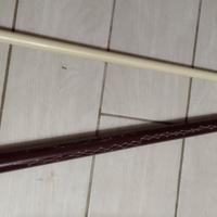 Stecca da biliardo RF Evolution