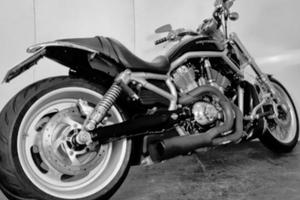 Harley Davidson 