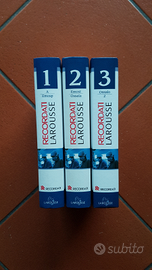 Dizionario Recordati Larousse 3 Volumi NUOVO