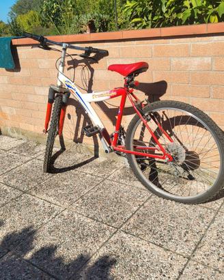 mountain bike