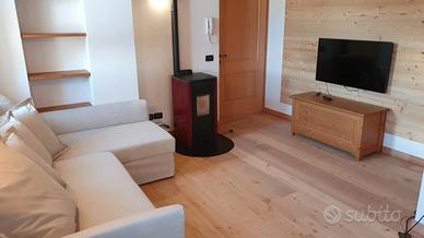 Stupendo appartamento a Zoldo Alto