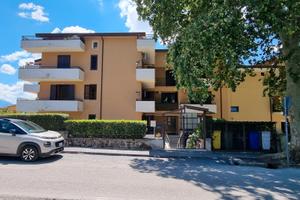 Appartamento arredato di 2 vani e wc, in parco