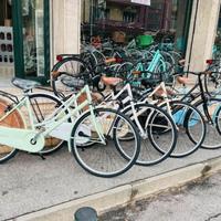 Bici nuove e riparazioni ad ottimi prezzi