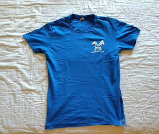 Maglietta e pantaloncini