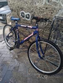 Muntain bike freyus