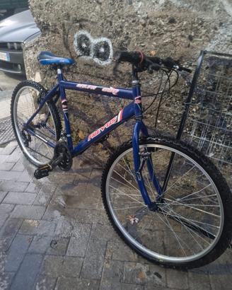 Muntain bike freyus