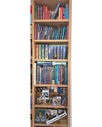 collezione harry potter