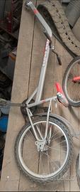 Rimorchio Bici