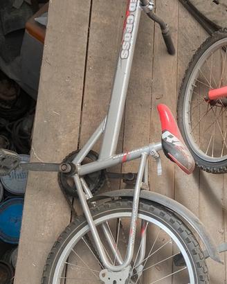 Rimorchio Bici
