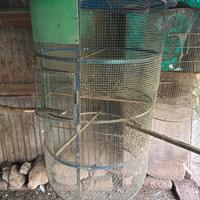 Gabbia per uccelli