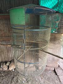 Gabbia per uccelli