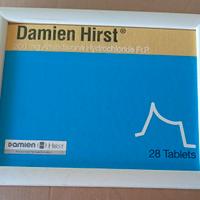 Damien Hirst libro in cornice* raro