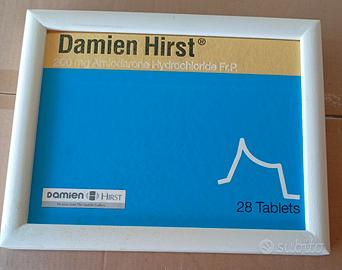 Damien Hirst libro in cornice* raro