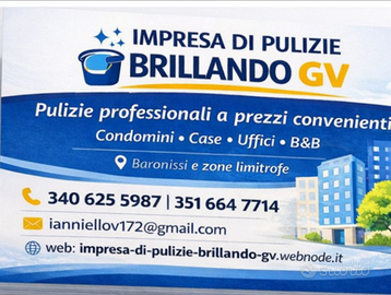 Pulizie