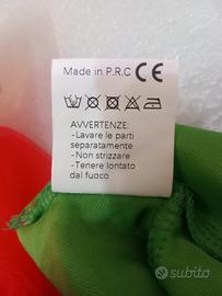 vestito carnevale elfo