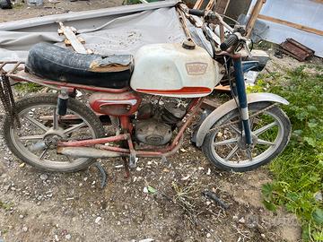 Atala rizzato ringo 50cc