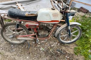 Atala rizzato ringo 50cc