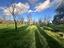 Immagine 13