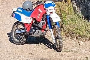 Xt600