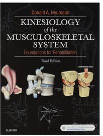 Libro Kinesiology of musculoskeletal system (Nuovo