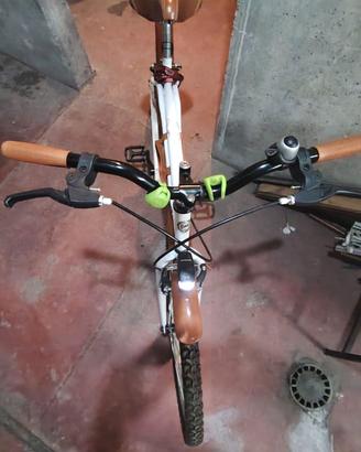 Bicicletta FAUSTO COPPI