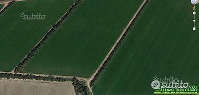 ORISTANO - RISAIA TERRENO 9,1 ETTARI accorpati