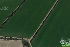 ORISTANO - RISAIA TERRENO 9,1 ETTARI accorpati