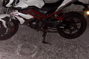 benelli bn125