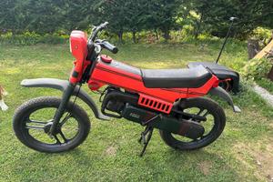 FANTIC SPRINTER 50