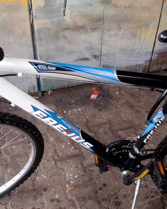 Biciclette. Montambai 