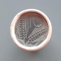 moneta 10 Lire collezione 