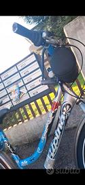 bici da donna Alpina