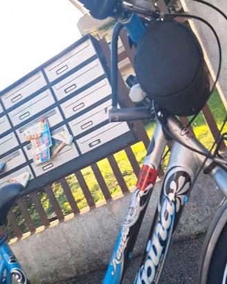 bici da donna Alpina