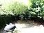 Immagine 20