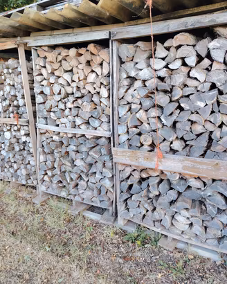 legna da ardere in cipresso 