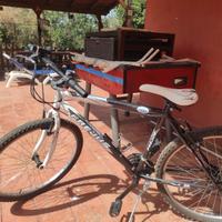 MTB 26