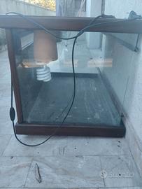 Teca per draghi o serpenti