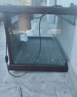 Teca per draghi o serpenti