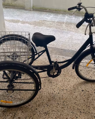 Bici a 3 ruote triciclo