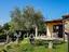 Immagine 12