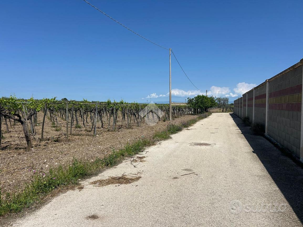TER. AGRICOLO A CERIGNOLA - Vista 5