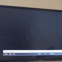 tv + 2 supporti per tv a muro