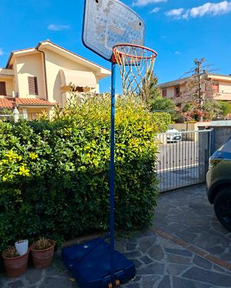 canestro basket