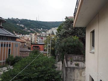 Rif.24093| appartamento bilocale