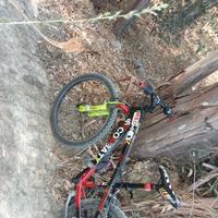 Brera Shimano Cliff 99 24°