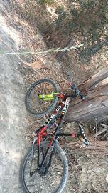 Brera Shimano Cliff 99 24°