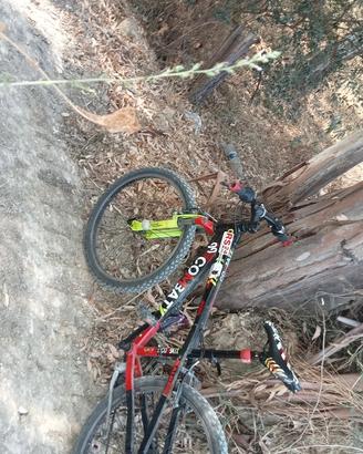 Brera Shimano Cliff 99 24°