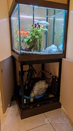 Acquario