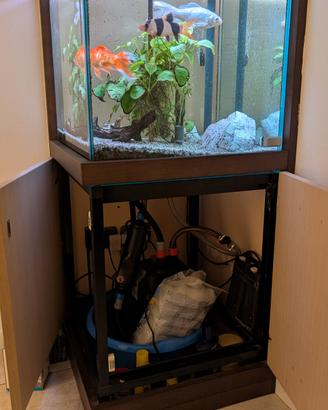 Acquario