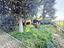 Immagine 25
